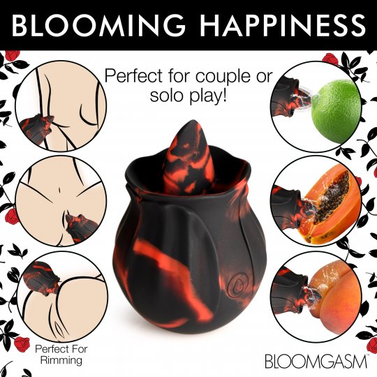 Black Kiss Rimming Rose Code: AH371